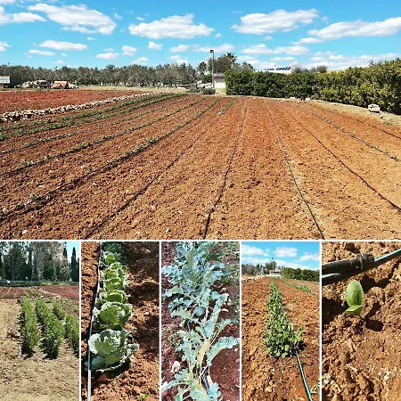 בית כפרי Masseria Giamarra קרפיניאנו סלינטינו